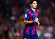 全面解析：必一体育官方网站