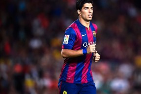 全面解析：必一体育官方网站