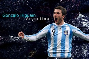 必一登录入口平台使用说明详解