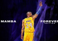 功能特点中必一运动的表现使用指南