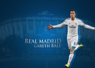 如何使用必一体育官方网站使用指南