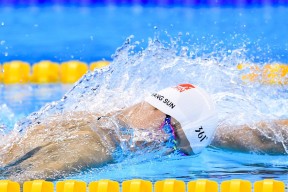 必一运动新手入门完整指南