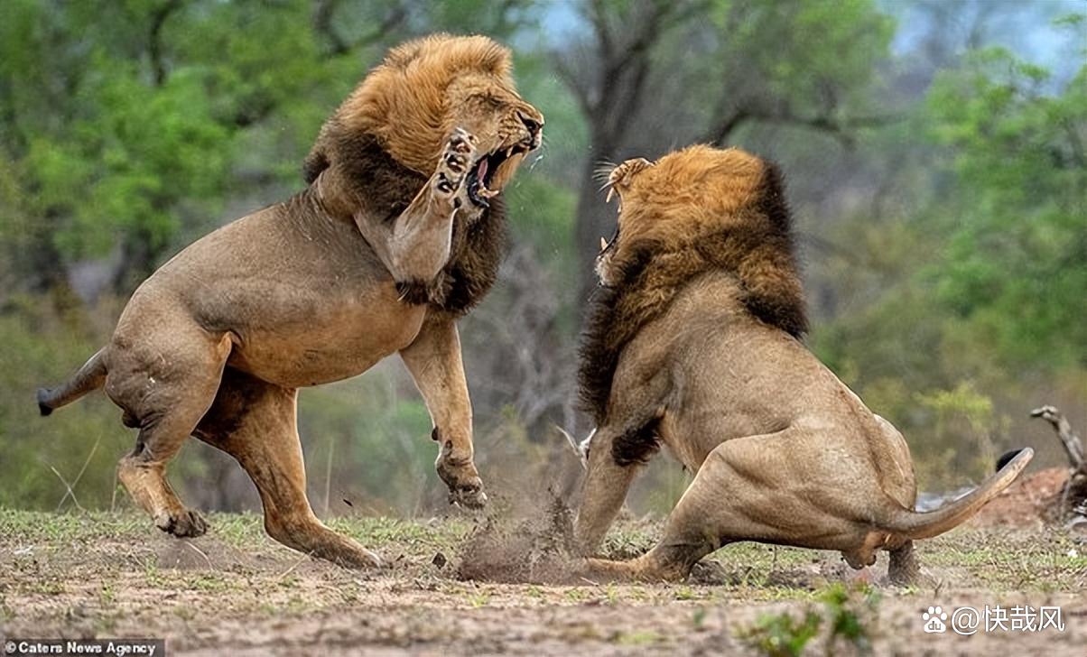 必一登录入口-印度后院失火 激战中4天7名印军被打死  第2张